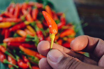 Cropped hand holding red chili