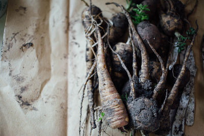 Close-up of root vegetables covered in mud