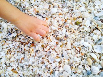 Cropped image of person hand on fallen leaves during flower