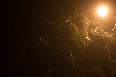 Close-up of illuminated lights on field at night