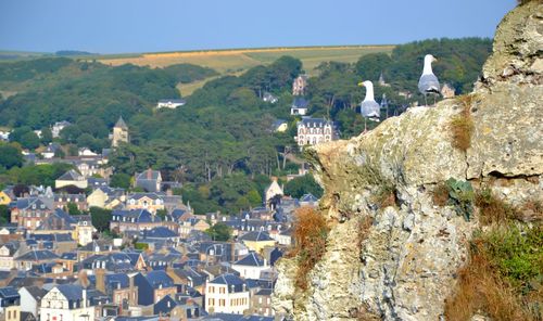 High angle view of houses in town