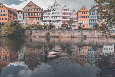 Reflection of buildings in lake