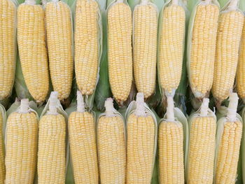 Full frame shot of fresh corns at store