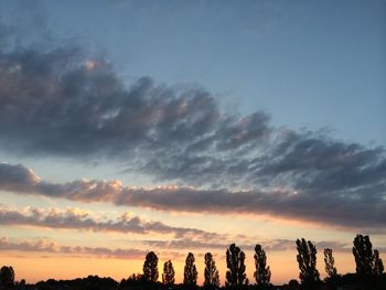 Low angle view of silhouette trees against sky during sunset