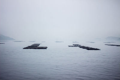 Boats in sea