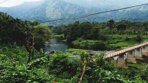 Scenic view of river amidst trees against sky