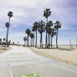 Palm trees on beach against sky