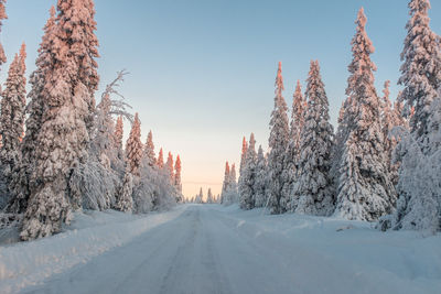 Icy, snowy road through the snow covered forest at sunset