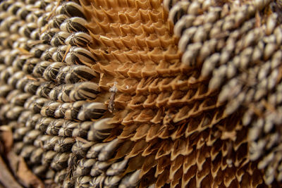 Full frame shot of wicker basket