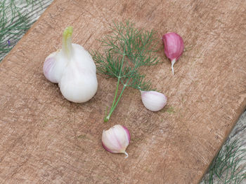 Close-up of garlic and dill