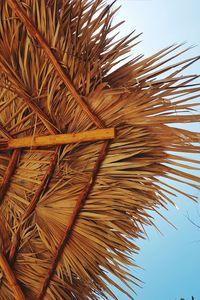 Low angle view of palm tree against clear sky