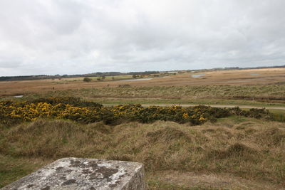 Scenic view of field against sky