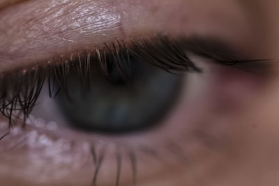 Cropped image of person eye