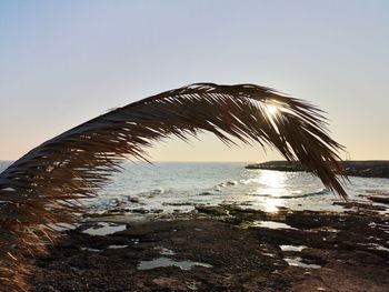 Scenic view of sea against clear sky during sunset