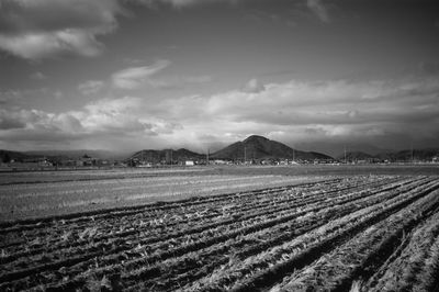 Scenic view of agricultural field against sky