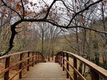 Footbridge over bare trees against sky