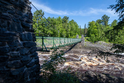 Plants growing on land against sky