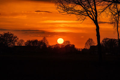 Silhouette trees on landscape against orange sky