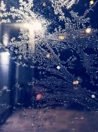 Close-up of wet glass during winter