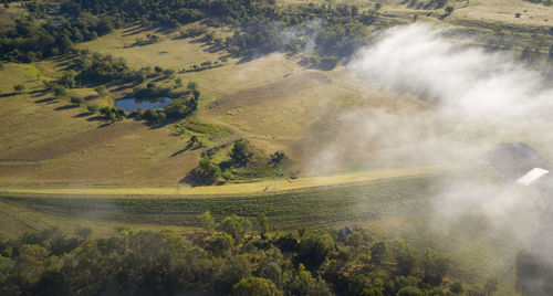 High angle view of trees on land