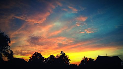 Silhouette of trees at sunset