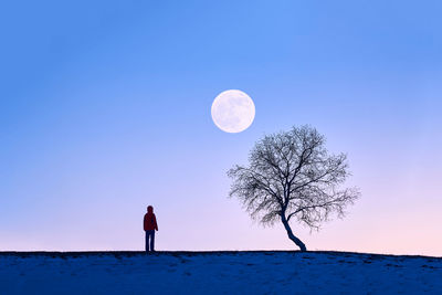 Rear view of man standing on snow against sky