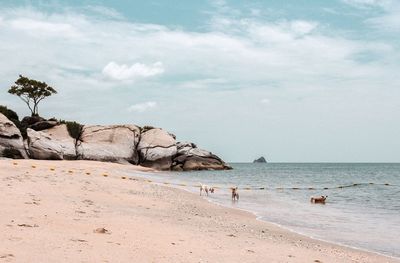 Scenic view of beach against sky
