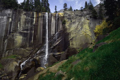 Scenic view of waterfall in forest