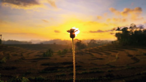 Wind turbine on field against sky during sunset