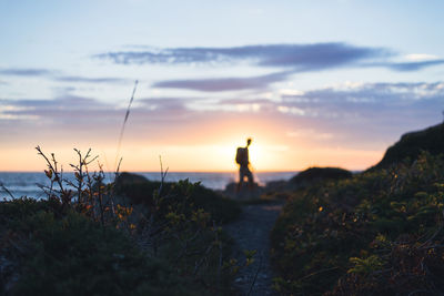 Scenic view of sea at sunset