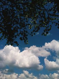 Low angle view of trees against blue sky