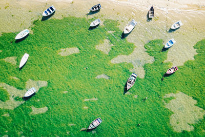 High angle view of boats in sea