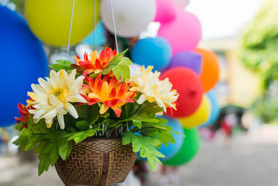 Artificial flower in basket with colorful balloon background