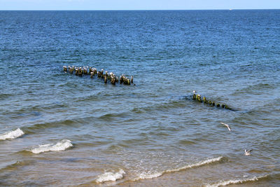 Baltic sea