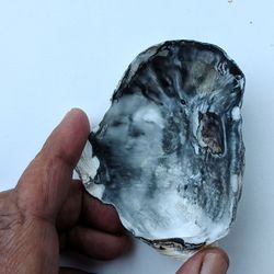 human hand