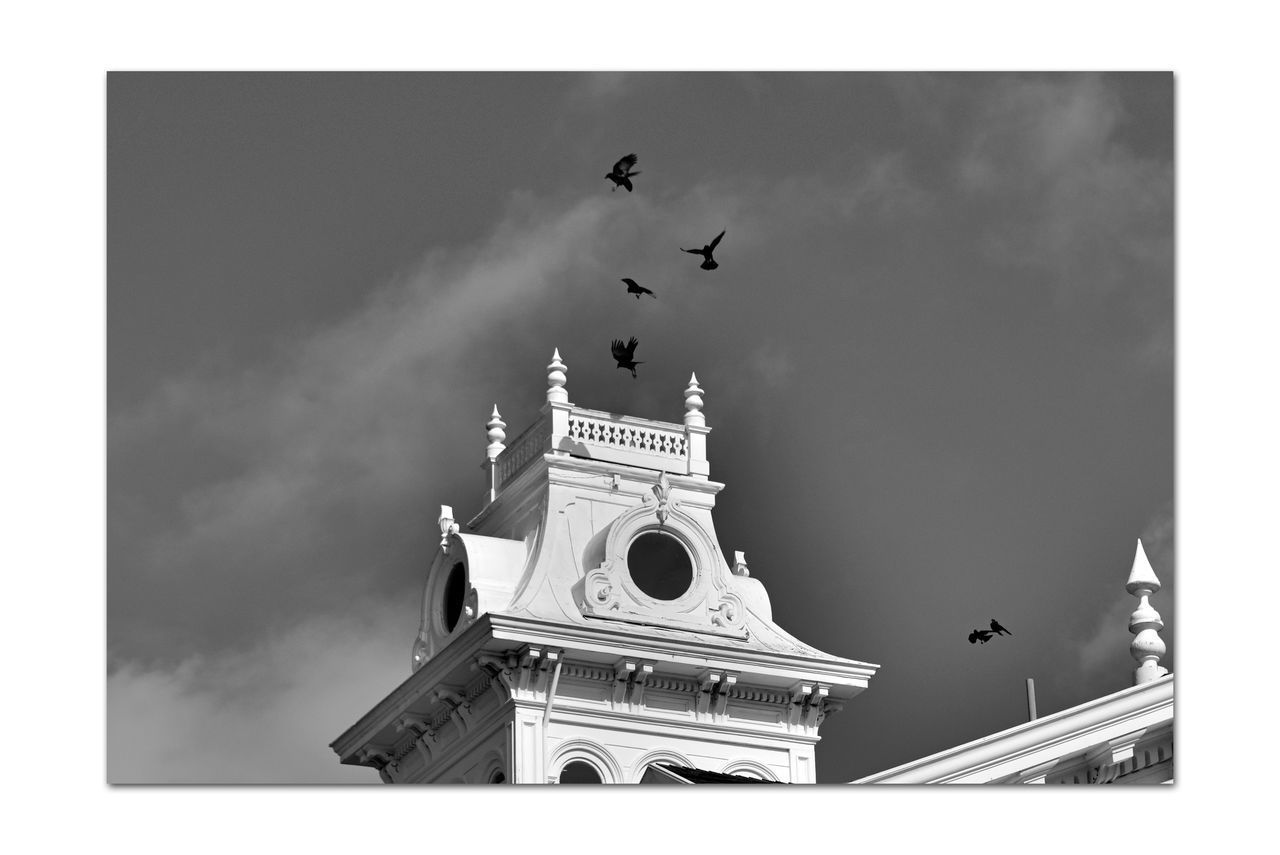 LOW ANGLE VIEW OF BIRDS FLYING AGAINST BUILDING