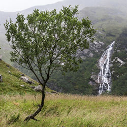 Scenic view of waterfall