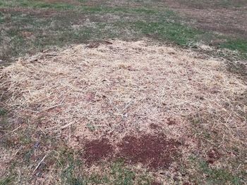 High angle view of cracked land