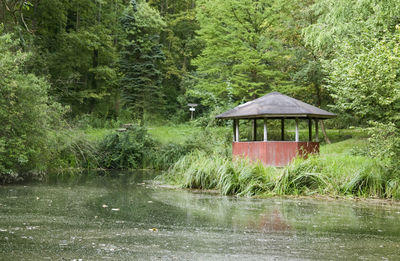 Gazebo by lake in forest