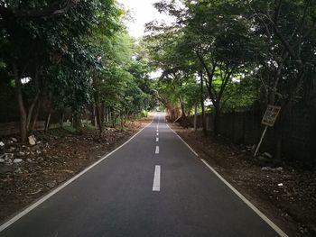 Road amidst trees