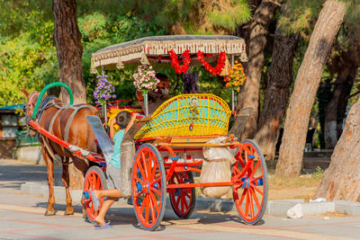 View of horse cart on street