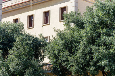 Low angle view of trees and buildings in city