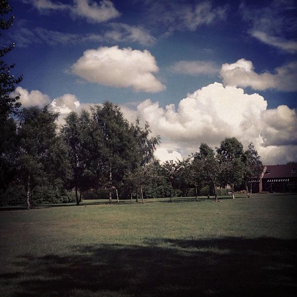 tree, sky, cloud - sky, cloud, grass, tranquility, tranquil scene, built structure, nature, growth, cloudy, park - man made space, architecture, scenics, beauty in nature, landscape, green color, day, building exterior, outdoors