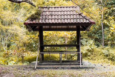 Gazebo in forest