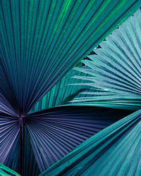 Closeup tropical green leaves nature and dark tone background concept