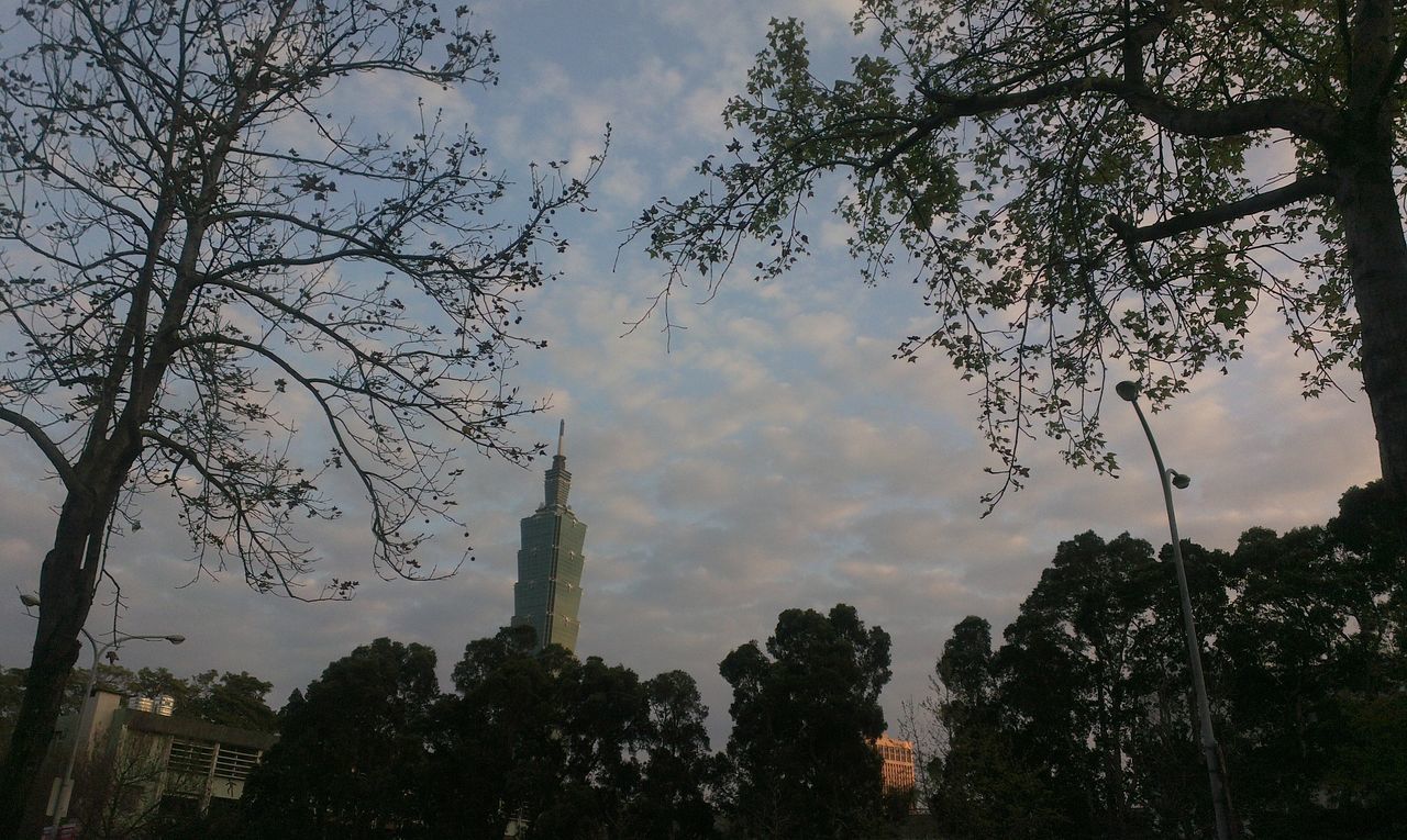 tree, architecture, building exterior, built structure, sky, low angle view, cloud - sky, city, bare tree, tower, branch, cloudy, tall - high, skyscraper, cloud, travel destinations, modern, growth, building, outdoors