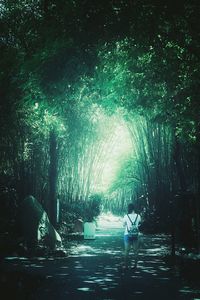 Rear view of people standing by trees