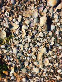 Full frame shot of stones