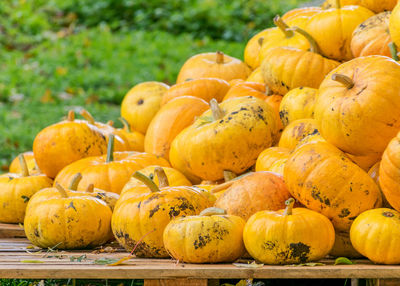 Pumpkins for sale at market