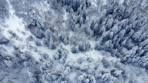 Full frame shot of frozen waterfall